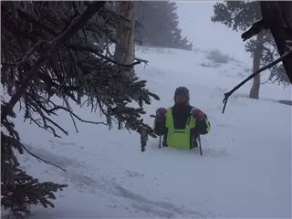 small_041229 coPICT0326.webp